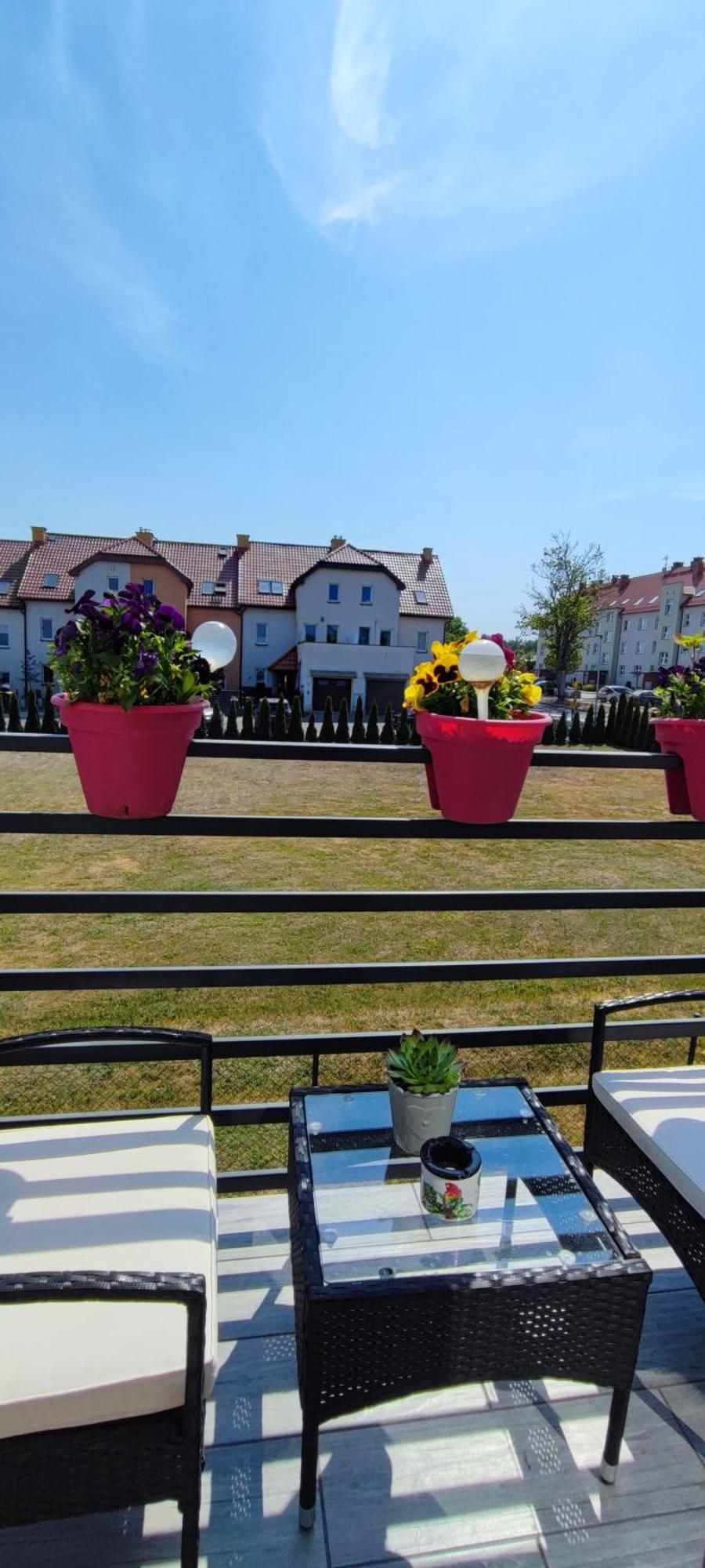 4 Foxes Ustka Quarto foto